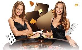 Themed casino section discovery inside tk10 com Casino Hub